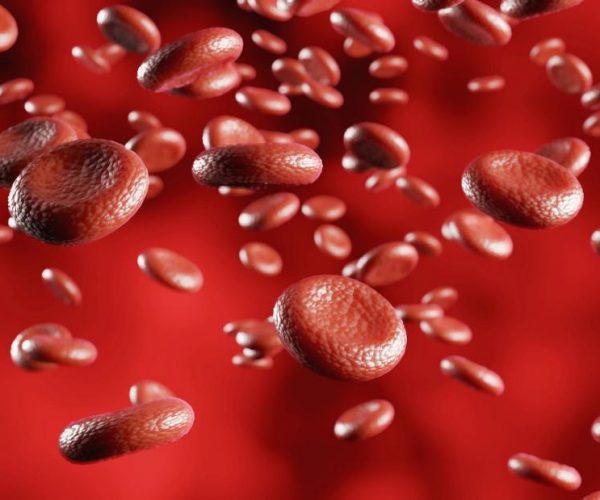 células sanguíneas Flujo en movimiento, Células de hemoglobina en vena, representación 3D
